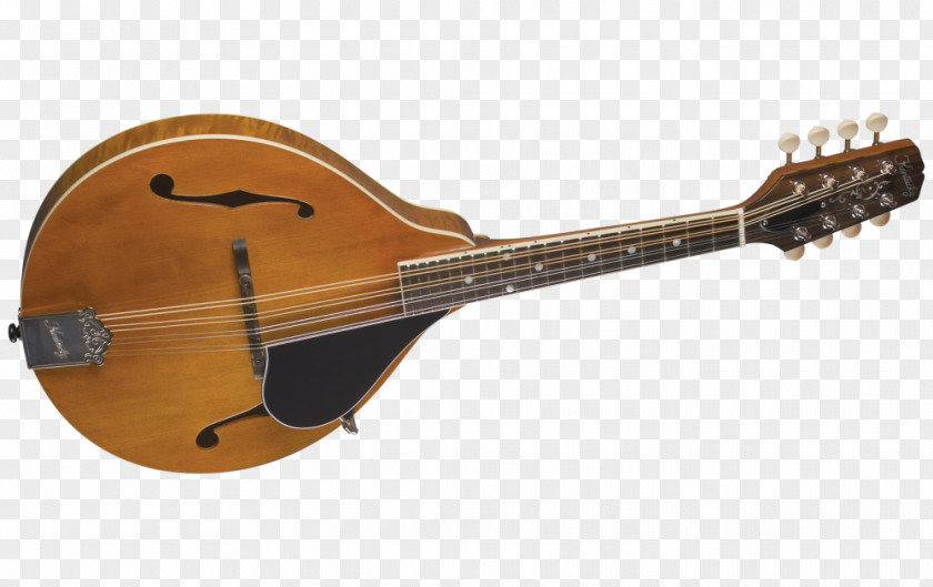 Graduated Ukulele Mandolin Musical Instruments String Guitar PNG