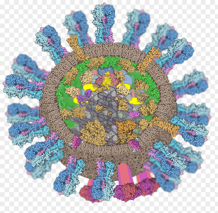 Influenza Vaccine A Virus PNG