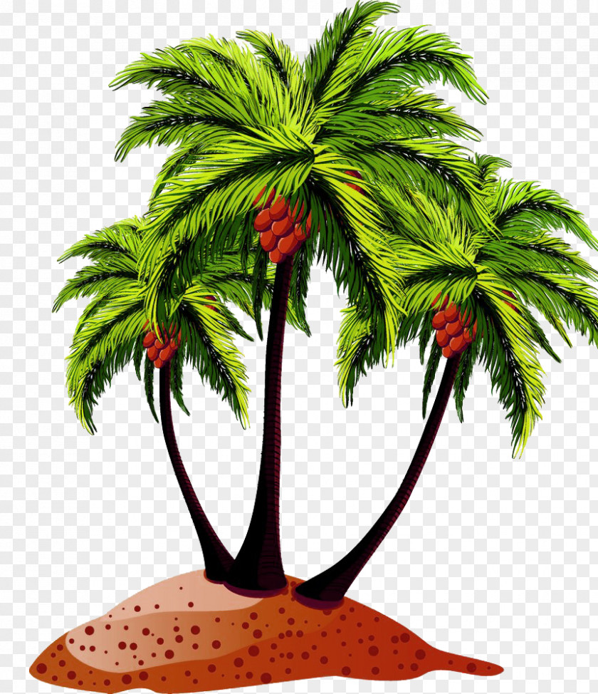 Lush Coconut Leaves Picture Material Arecaceae Royalty-free Drawing PNG