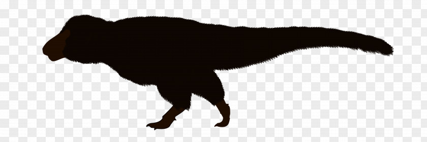 Silhouette Tyrannosaurus Austroraptor PNG