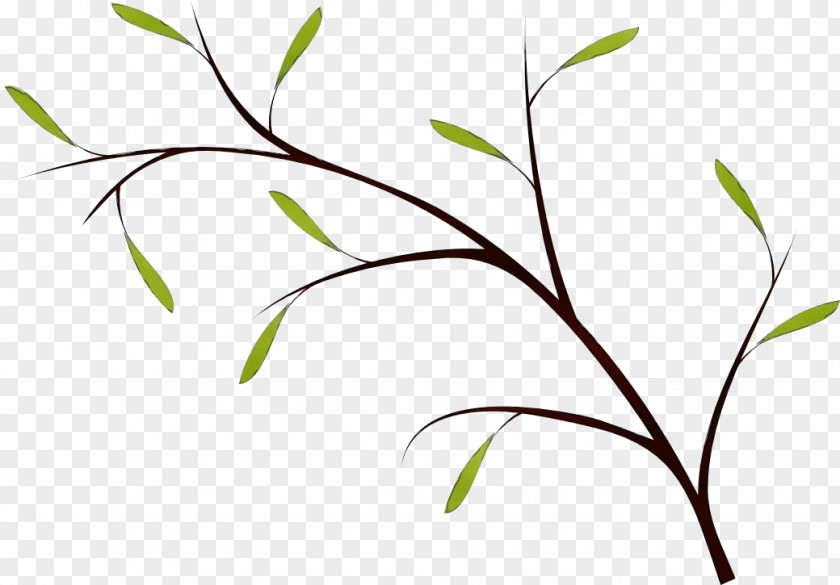 Twig Plant Stem Leaf Grasses Flower PNG