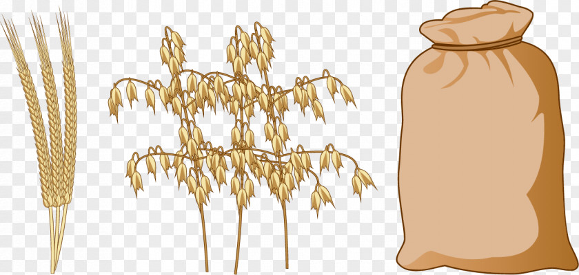 Vector Wheat Harvest Sacks Cereal Rice Food PNG