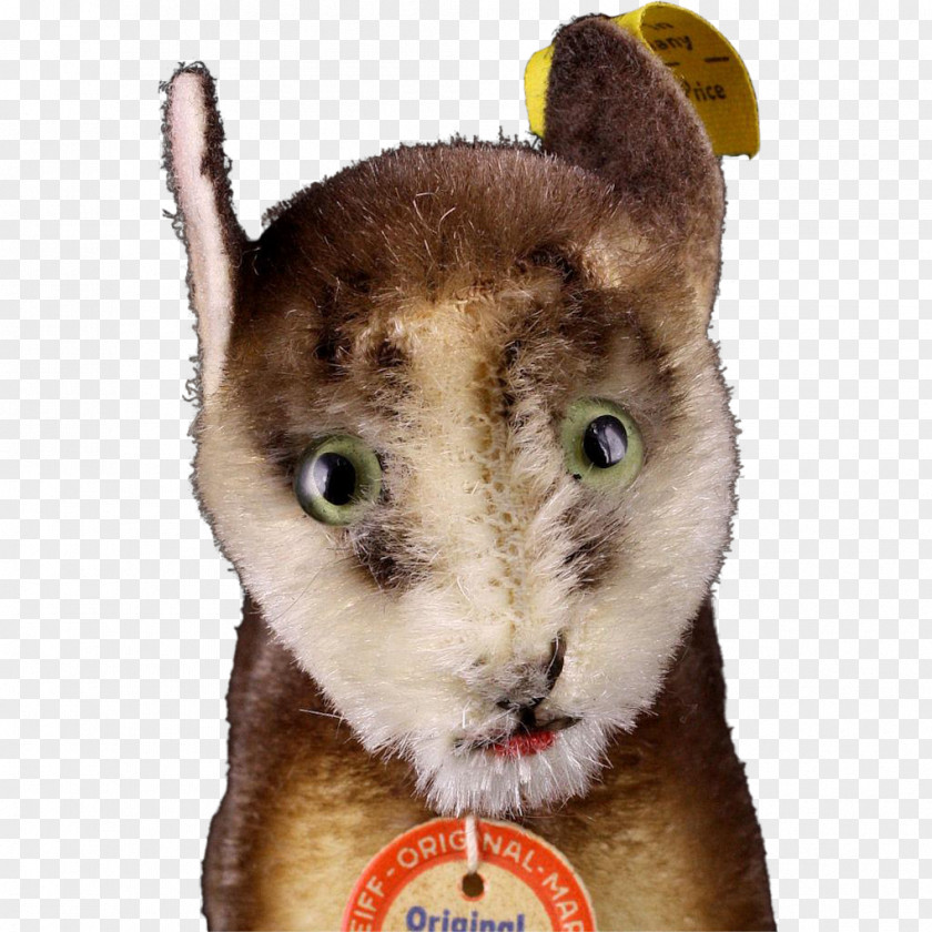 Cat Whiskers Fur Fauna Snout PNG