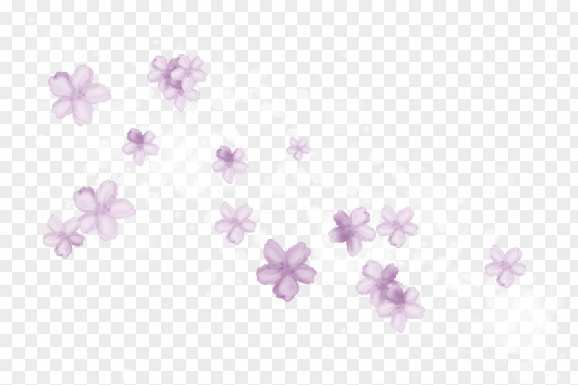 Water Cherry Blossom Petal Desktop Wallpaper PNG