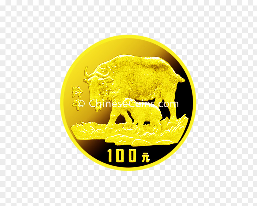 Coin Logo Gold Font PNG