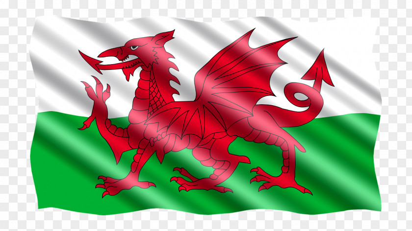 Flag National Symbols Of Wales Welsh Sir John Cass Redcoat School PNG