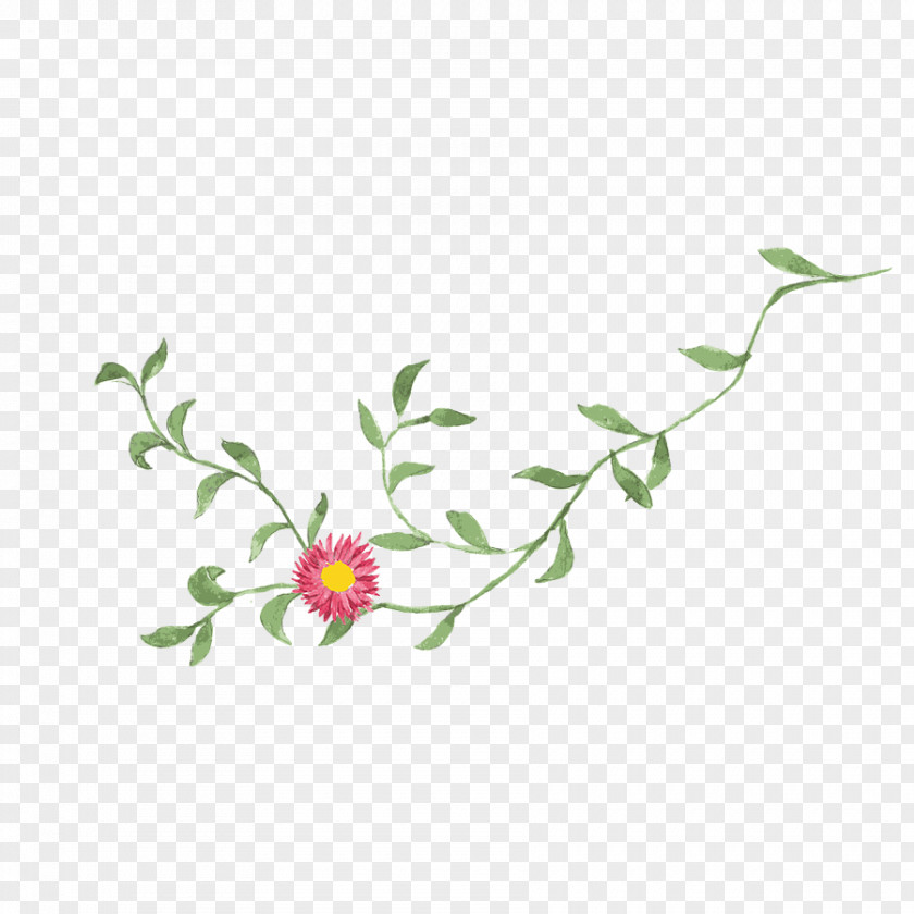 Hand-painted Flowers Grass Illustration Watercolor Painting Cartoon PNG