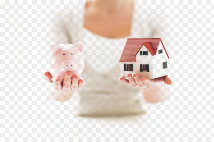 Piglet Savings And Business Banking Fixed-rate Mortgage Loan Home Equity Payment PNG