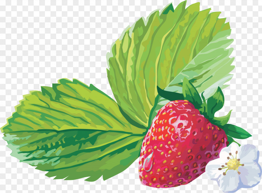 Raspberries Musk Strawberry Fruit PNG