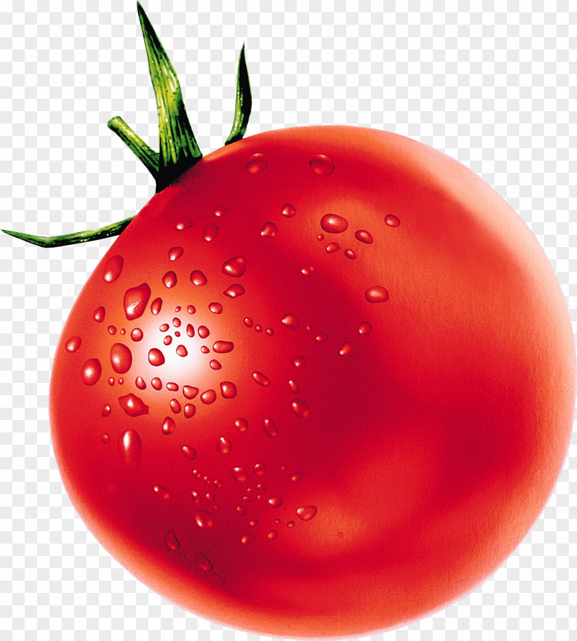 Tomatoes Tomato Vegetable Pomodoro Technique Clip Art PNG