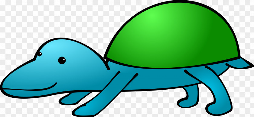 Turtle Art PNG