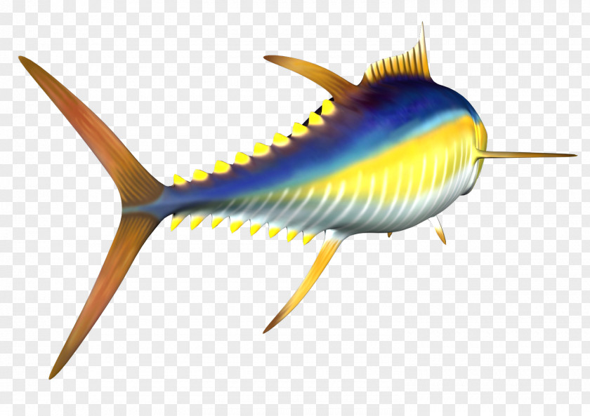 Free High Resolution Clipart Yellowfin Tuna Atlantic Bluefin Clip Art PNG