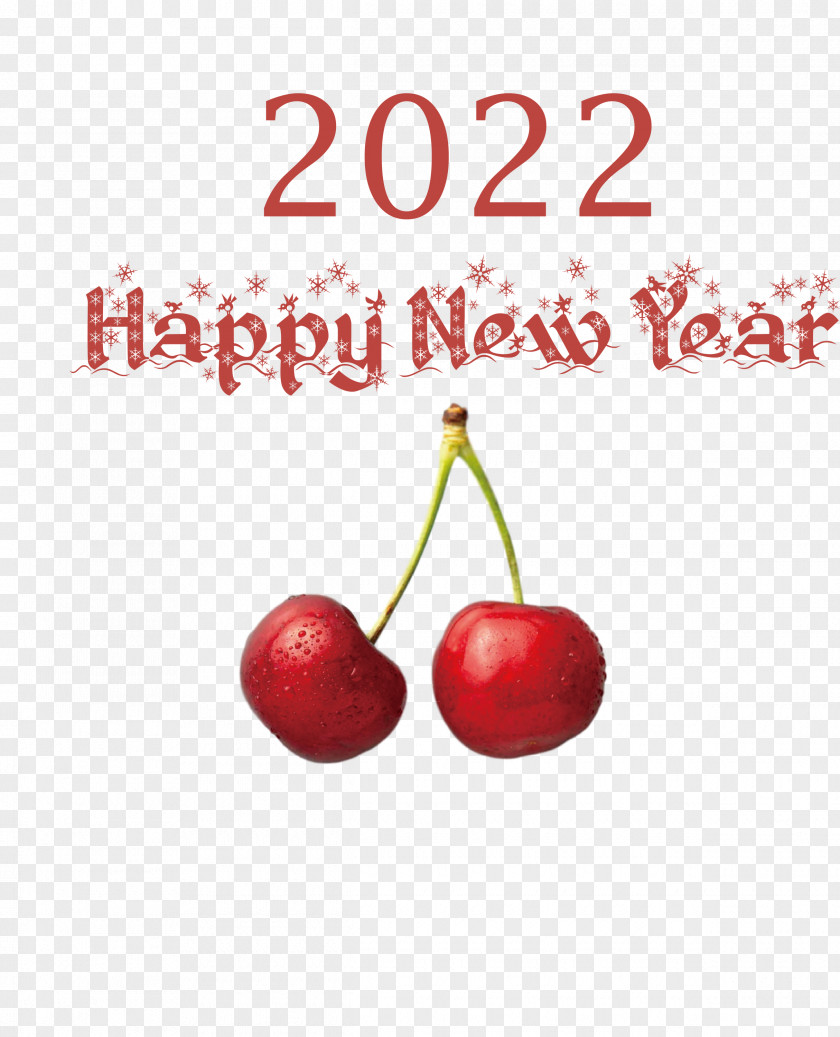 2022 Happy New Year PNG