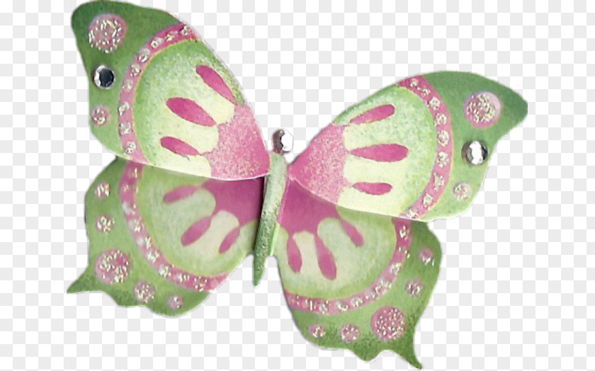 Butterfly Centerblog Image PNG