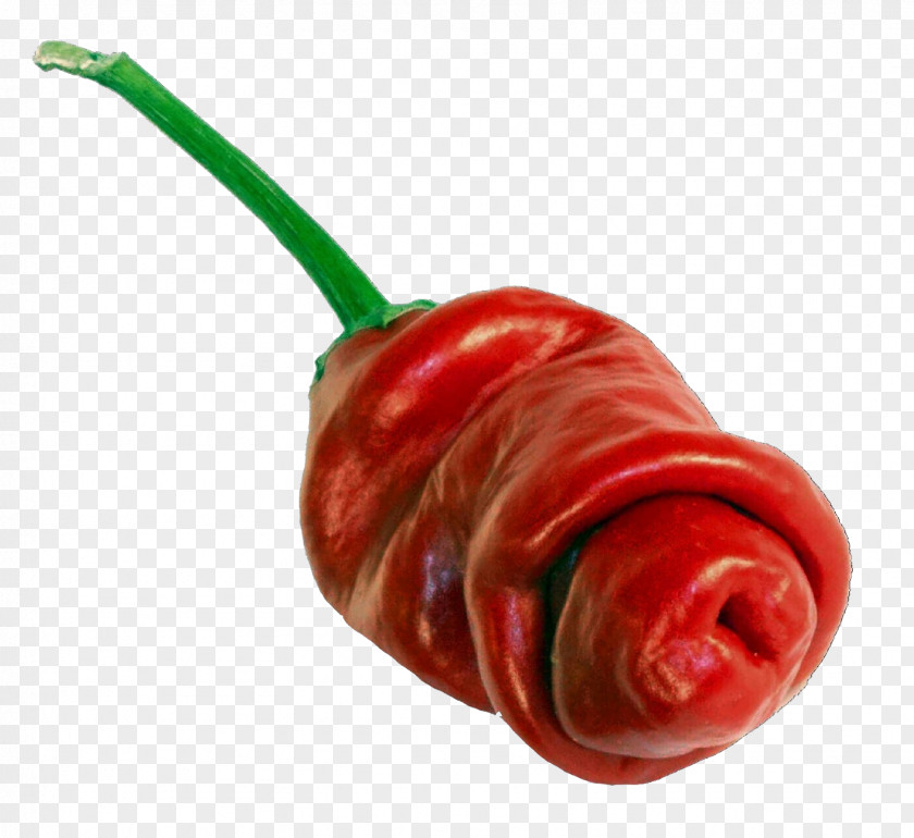 Chili Pepper Red Plant Vegetable Peperoncini PNG