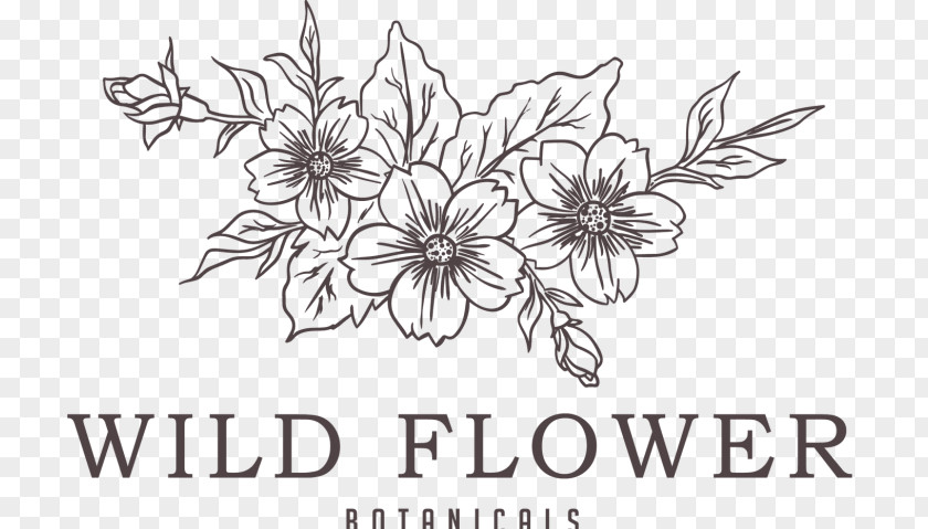 Coffee Paper Vector Graphics Drawing Floral Design PNG
