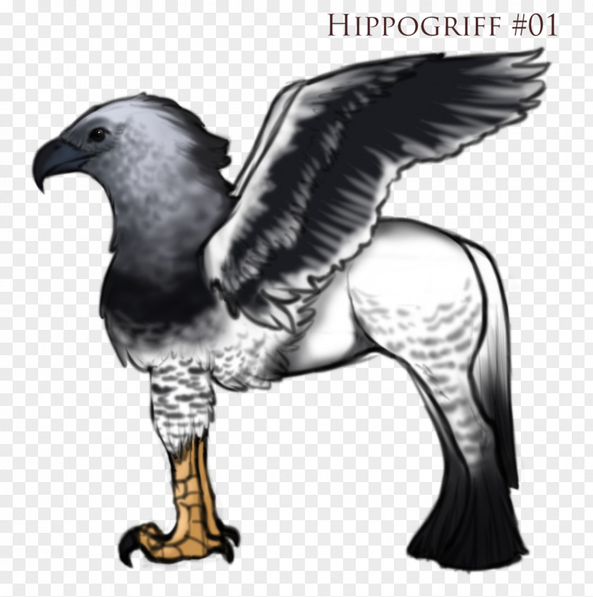 Eagle Hippogriff Legendary Creature Art Shire Horse PNG