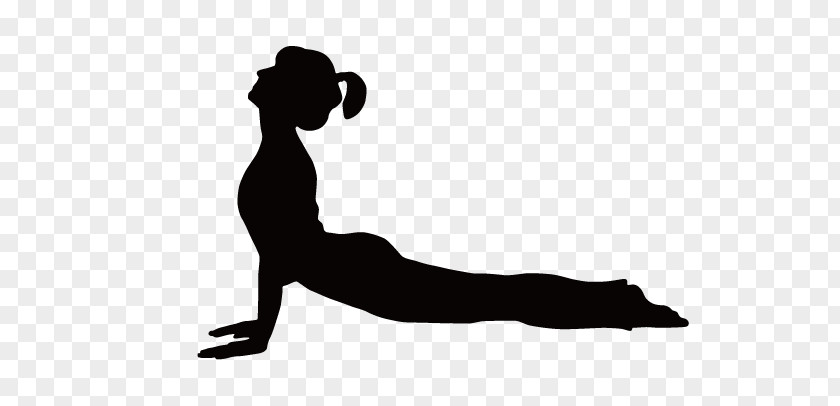 Fitness Silhouette Figures Yoga Physical Exercise Pilates Gymnastics PNG