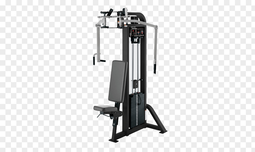 Fly Machine Rear Delt Raise Strength Training Deltoid Muscle PNG