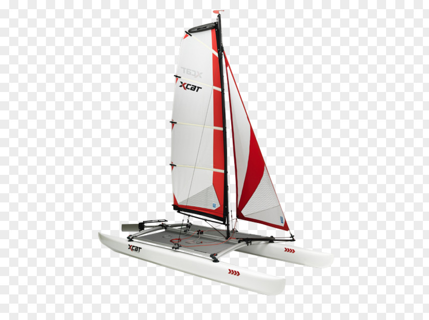 Model Sailboats Sailing Catamaran Sailboat PNG