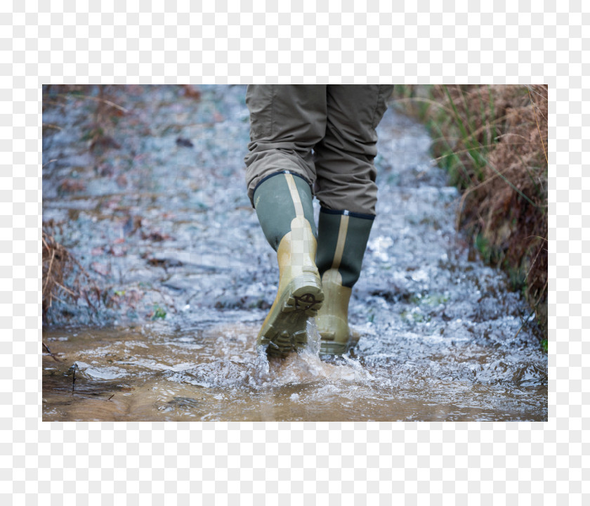 Tree Shoe Water Resources Gusset Barefoot Wellington Boot PNG