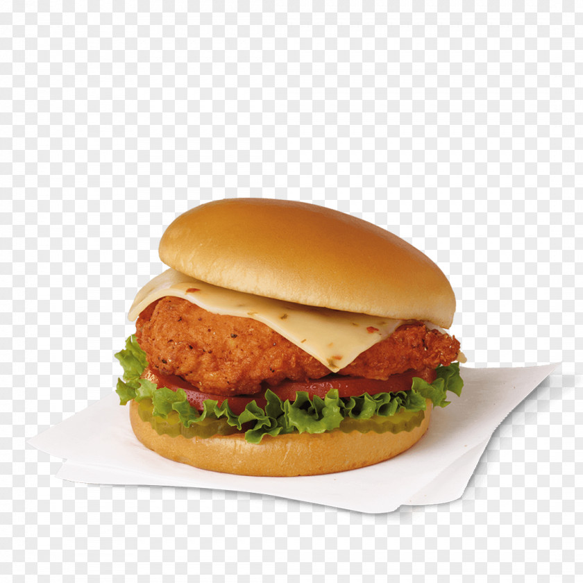 Burger King Chicken Sandwich Nugget French Fries Pickled Cucumber Fingers PNG