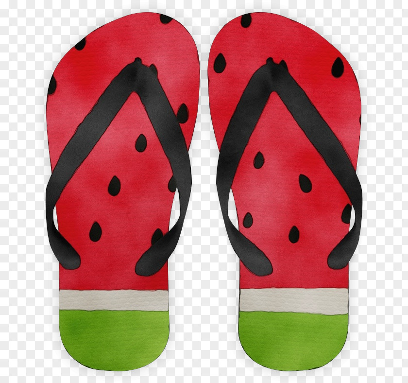 Flip-flops Havaianas Shoe Slipper Sandal PNG