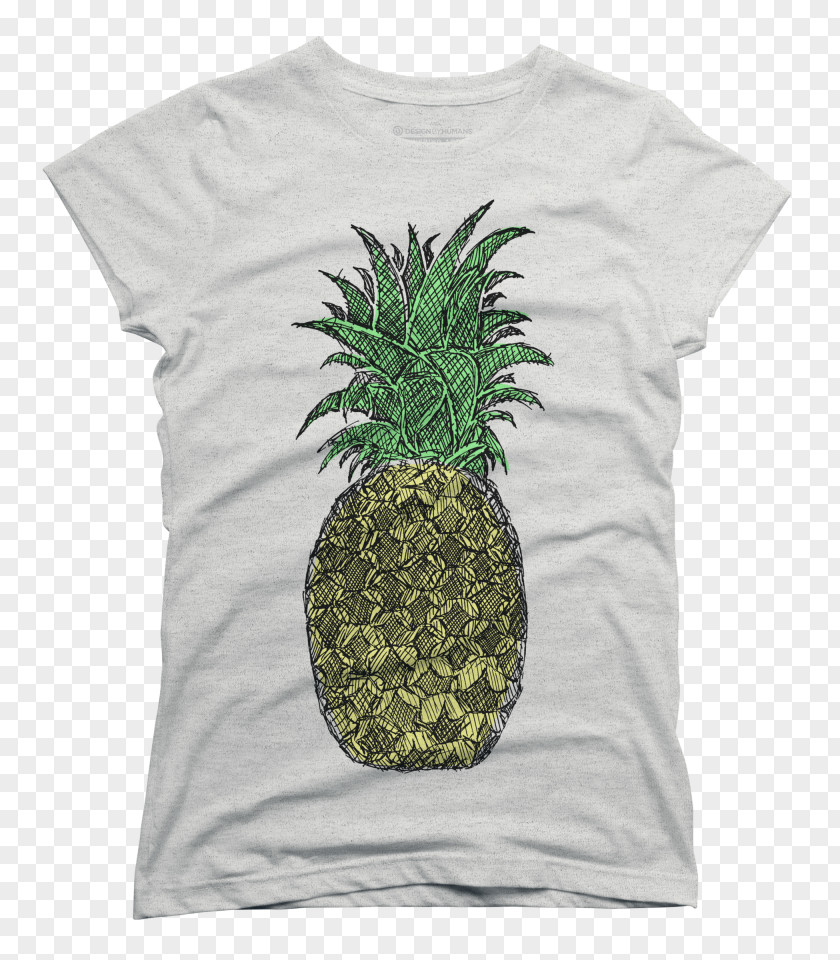Pineapple Cuts Drawing Sketch PNG