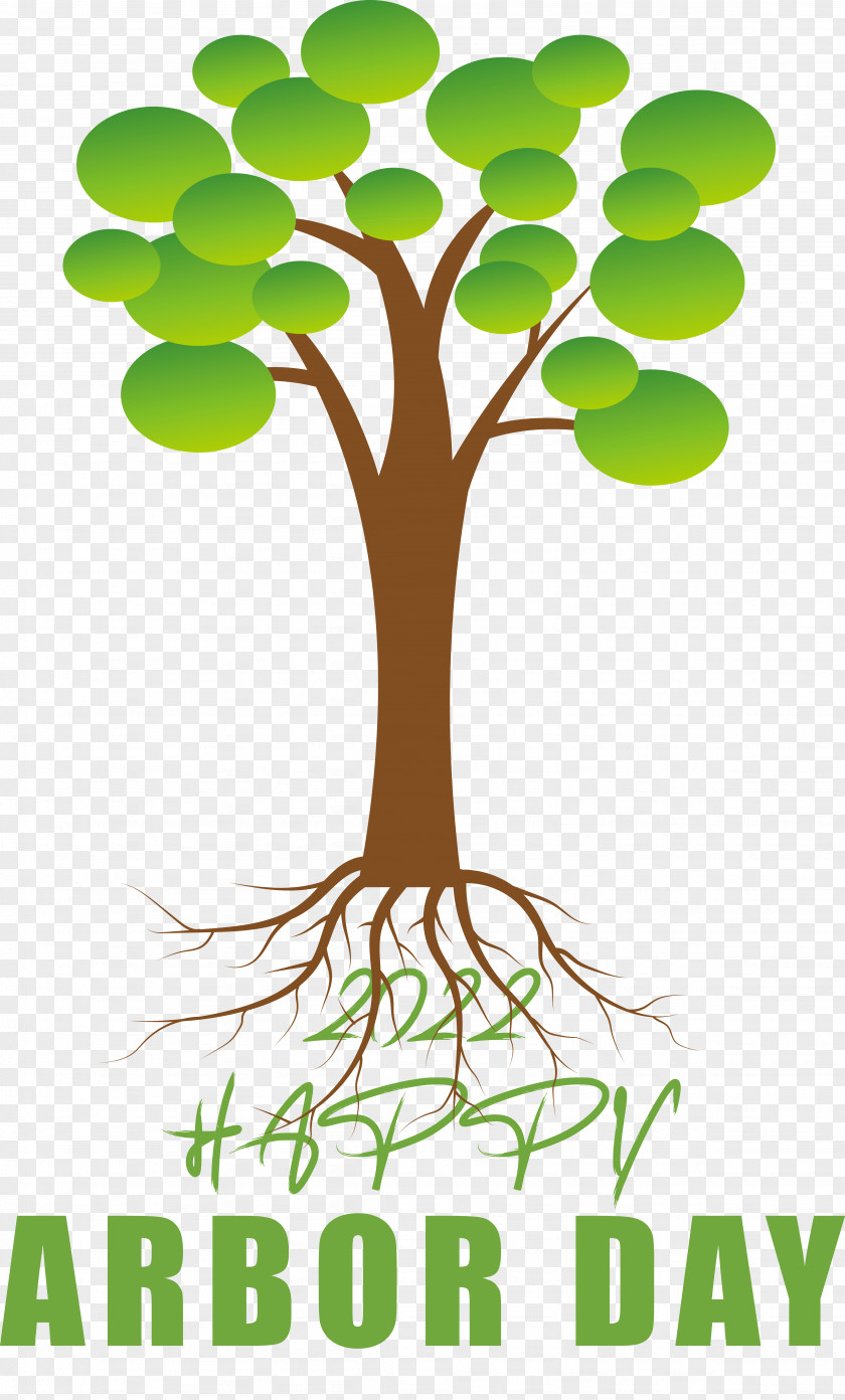 Plant Stem Tree Alternative Medicine Leaf Perennial Plant PNG