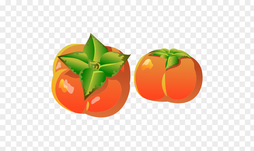 Red Tomato Model Cartoon Persimmon PNG
