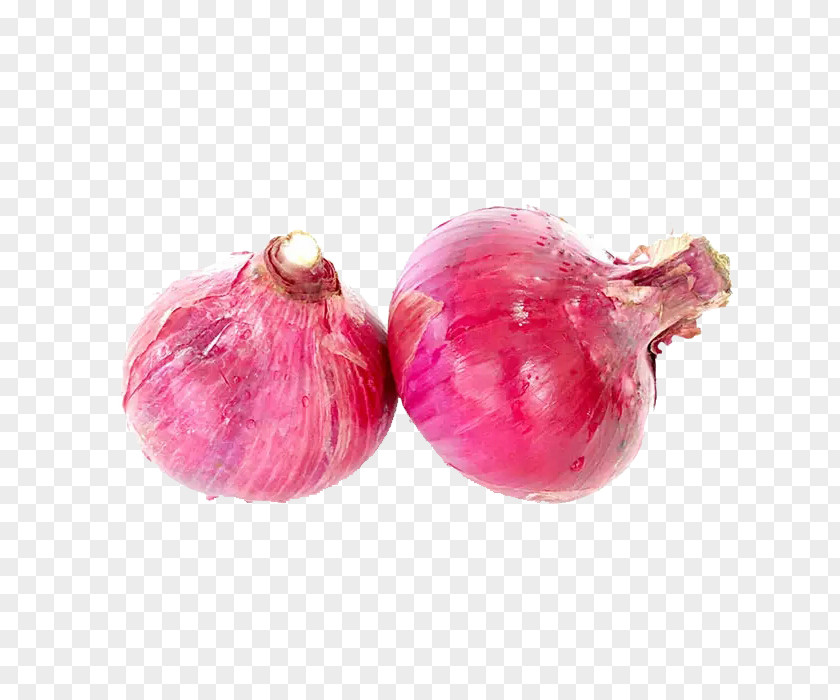 Two Onions Material Shallot Red Onion Scallion Vegetable PNG