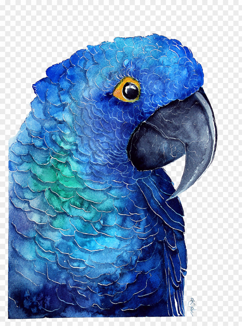 Blue Parrot Poster Watercolor Painting PNG