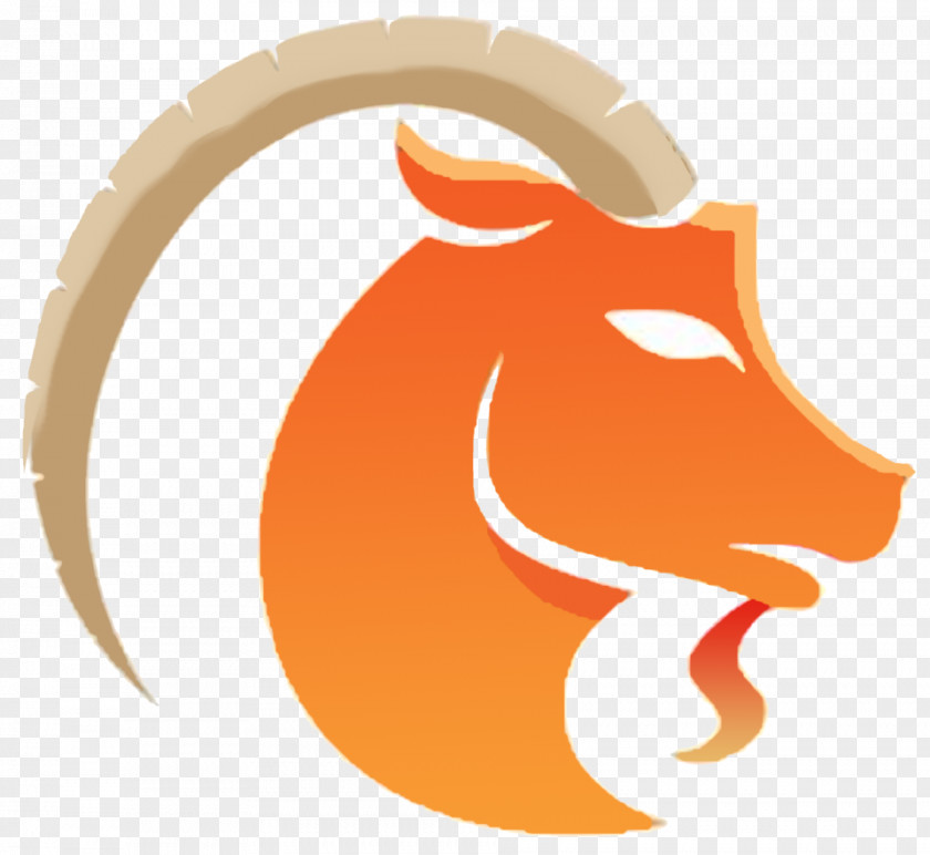 Capricorn Horoscope Aries Chinese Astrology Astrological Sign PNG