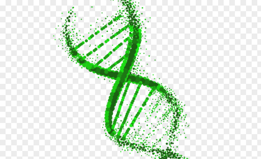 DNA Extraction Genetics Genetically Modified Organism PNG