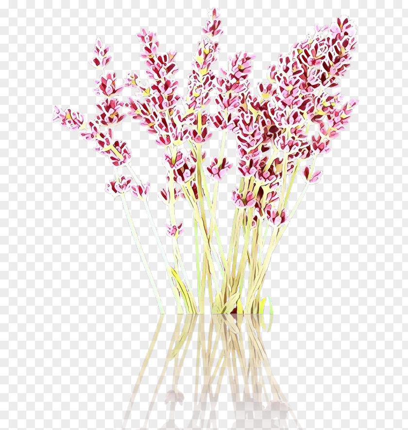 Flower Plant Cut Flowers Pink Grass PNG