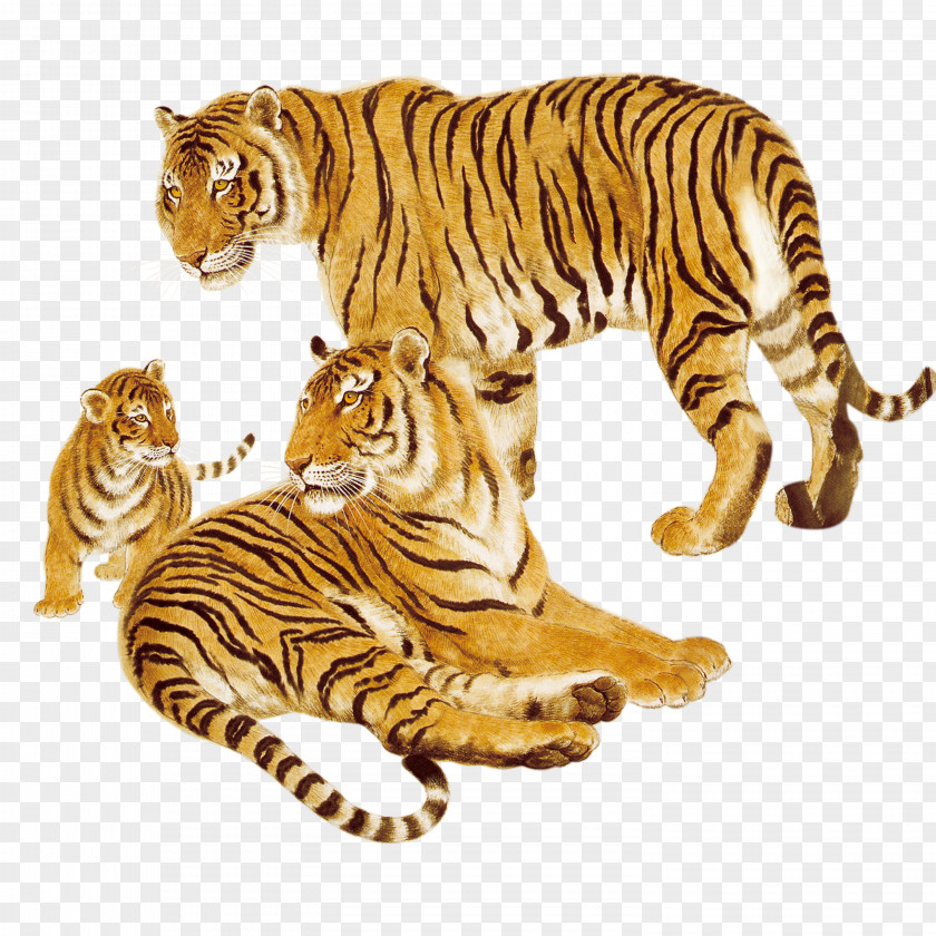 Hand-painted Tiger Animals Animal Cat Wildlife PNG