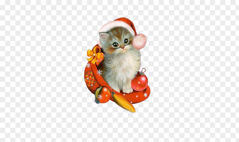 Kitten Christmas Animation Giphy Clip Art PNG