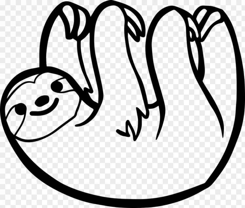 Sloth Hanging Bear Drawing T-shirt PNG