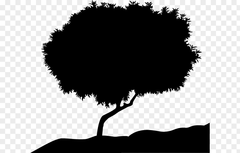 Vector Tree Silhouette PNG