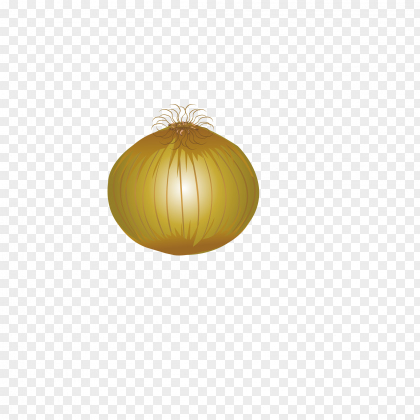 Yellow Onions Onion Vegetable PNG