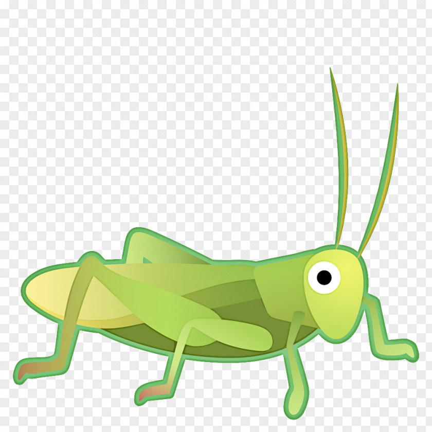 Animal Figure Mantidae Grasshopper PNG