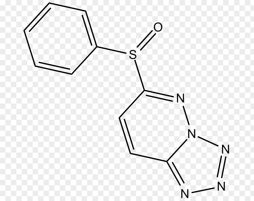 Caffeic Acid Phenethyl Ester NF-κB Inflammation Cytokine N,N-Dimethyltryptamine Immunity PNG
