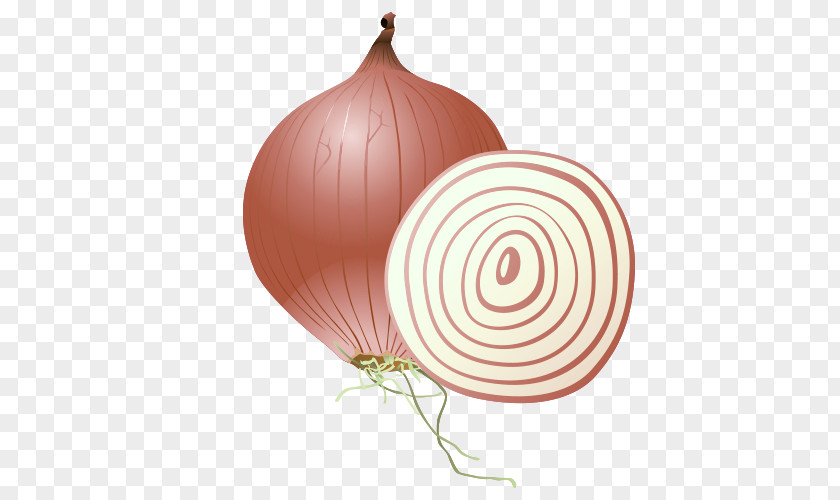Cartoon Onion Vegetable PNG