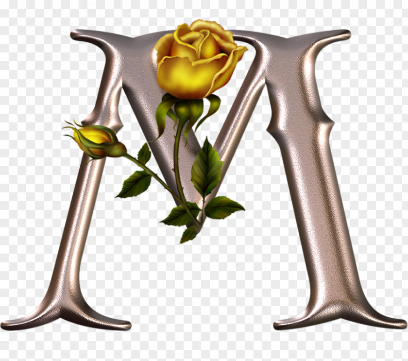 Flower Alphabet Letter M V W PNG