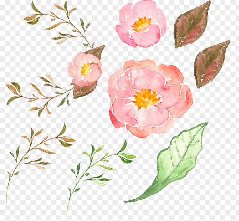 Pink Peony Flower Border Flowers PNG
