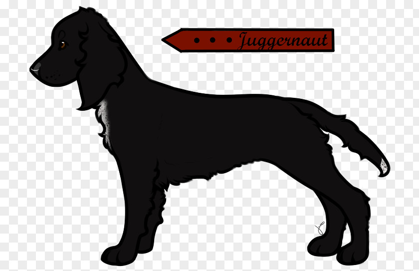 Puppy Dog Breed Sporting Group Spaniel PNG
