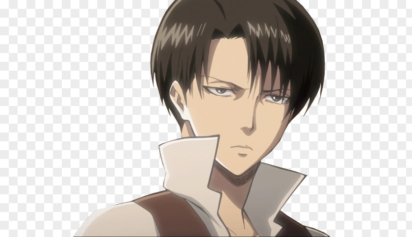 Attack Of Titan Eren Yeager On Titan: No Regrets Levi Original Video Animation PNG