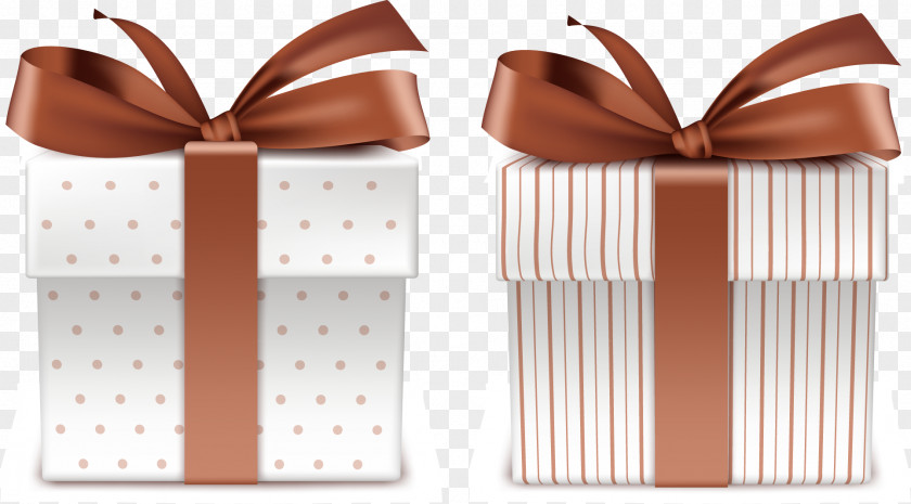 Brown Ribbon Gift PNG