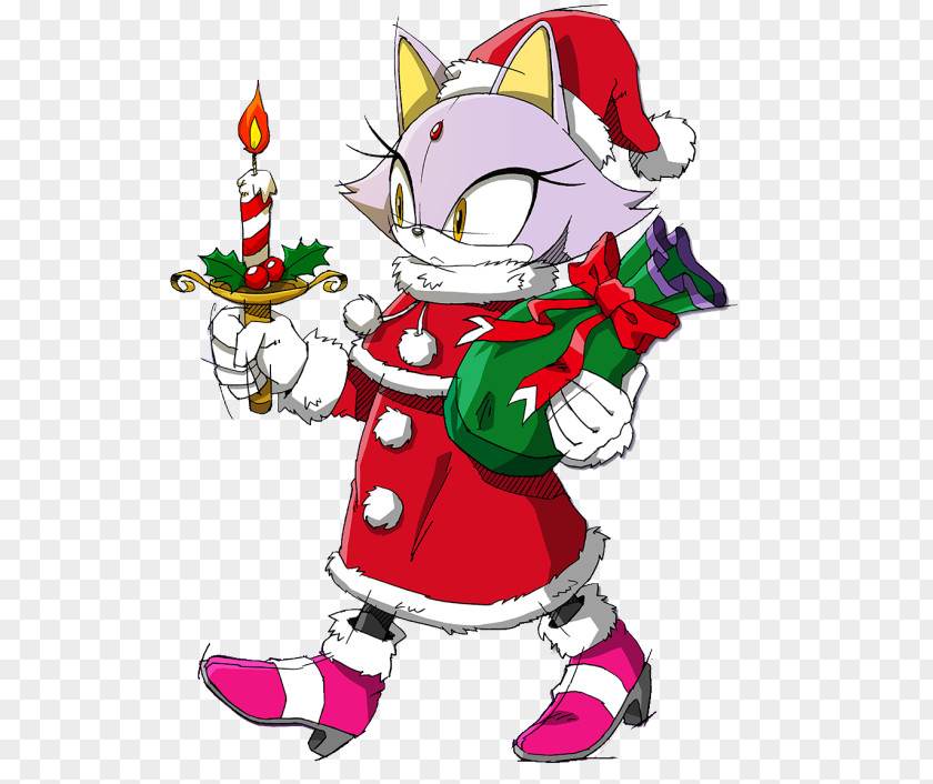 Cat Sonic Rush Adventure The Hedgehog PNG