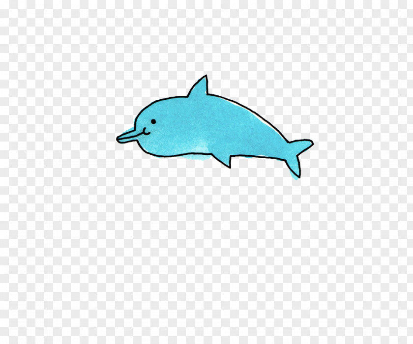 Hand-painted Whale Tucuxi Porpoise Illustration PNG